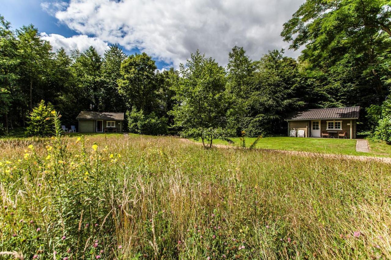 Kievit Villa Appelscha Kültér fotó