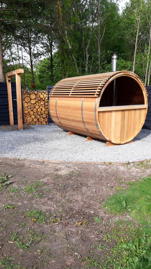 Kievit Villa Appelscha Kültér fotó