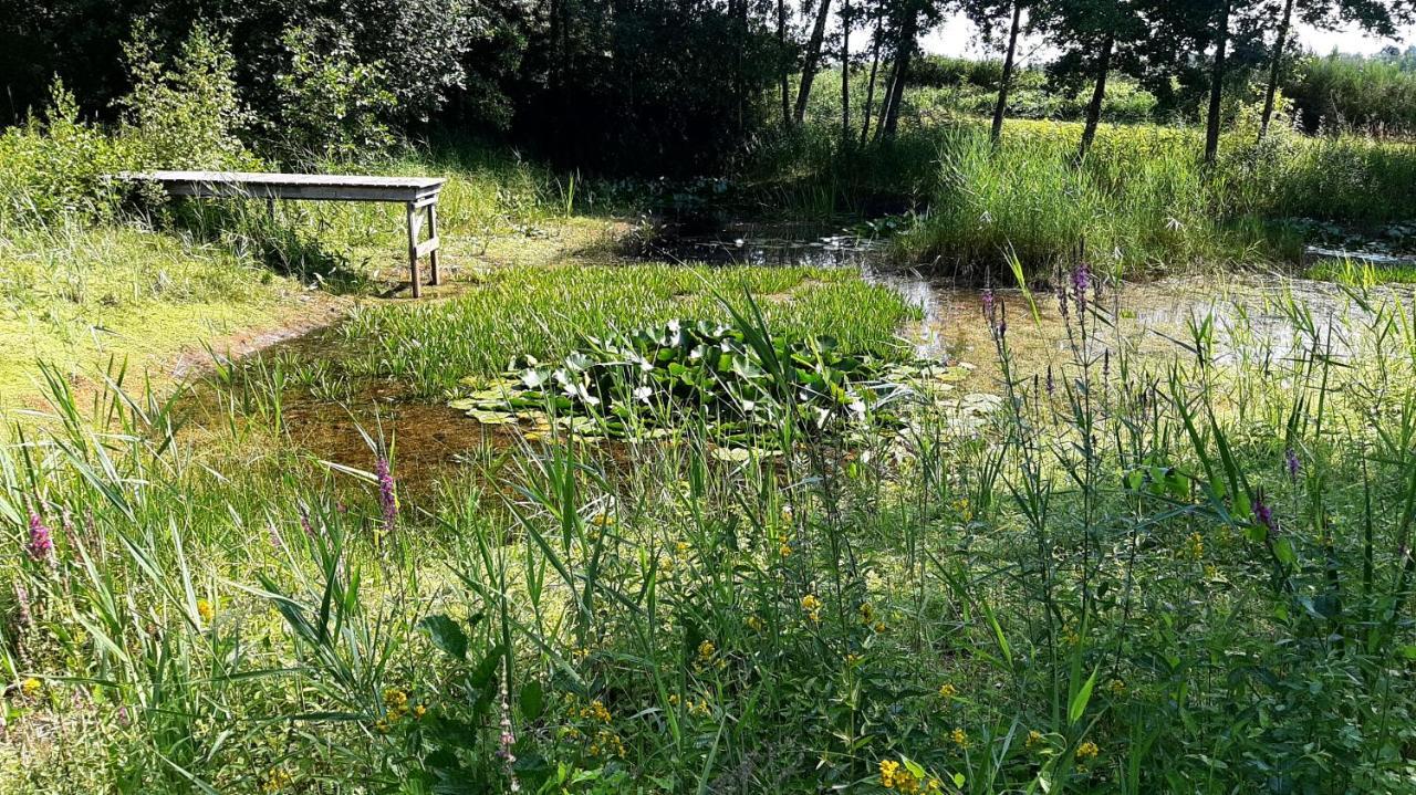 Kievit Villa Appelscha Kültér fotó