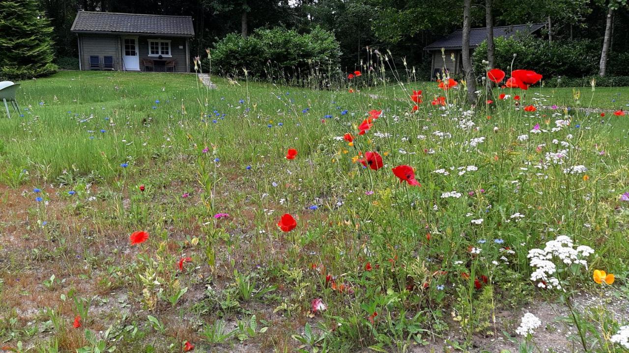 Kievit Villa Appelscha Kültér fotó