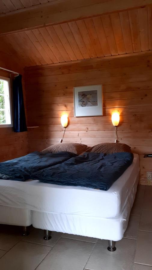 Kievit Villa Appelscha Kültér fotó